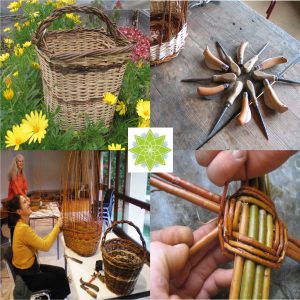 PANIER DE RANGEMENT EN OSIER SUR MESURE - stage vannerie cours osier  formation Etienne Métézeau hais d'osier vivant pour jardin