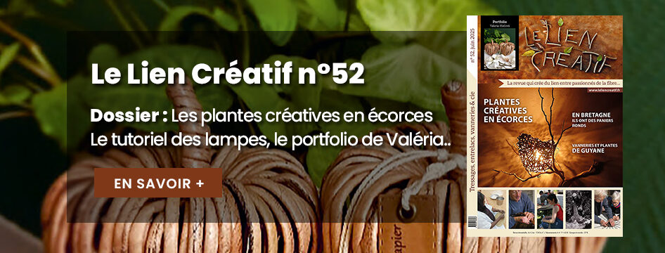 Le Lien Créatif n°51