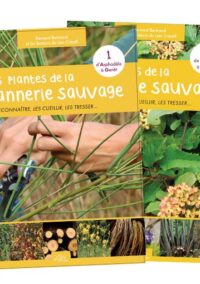 Récoltez les plantes sauvages cet été !
