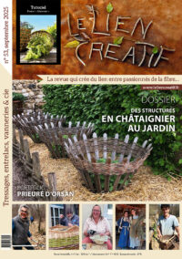 Le Lien Créatif n°53