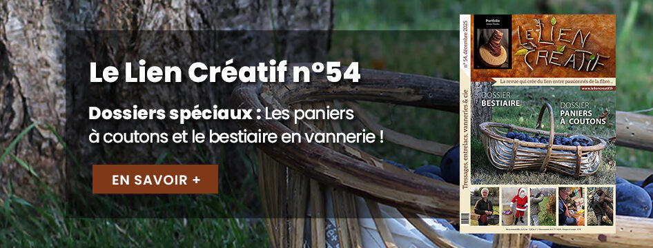 Le Lien Créatif n°54