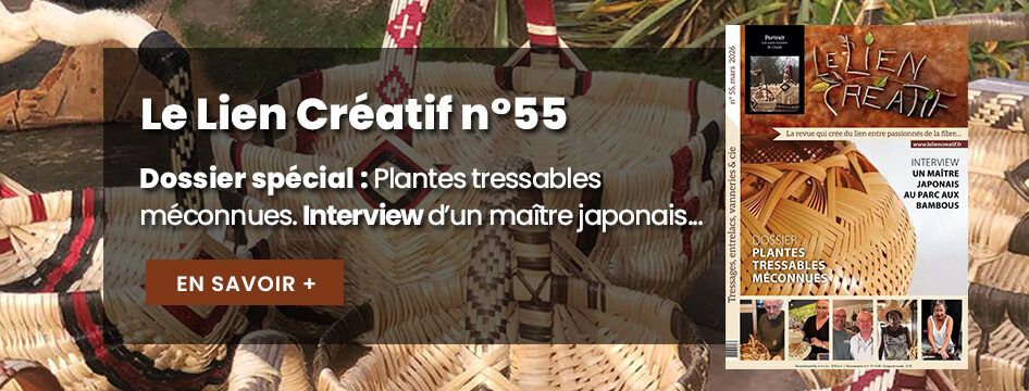 Le Lien Créatif n°55