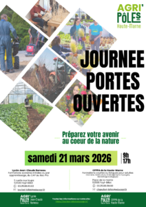 Fête vannerie Fayl-Billot portes ouvertes