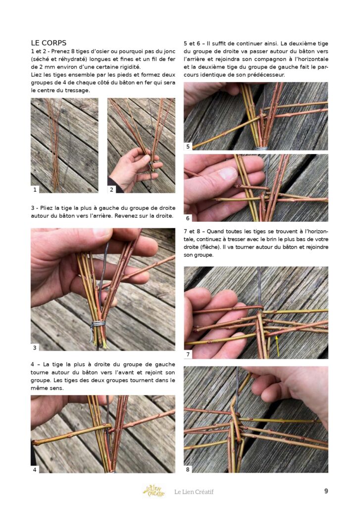 tutoriel petit escargot
